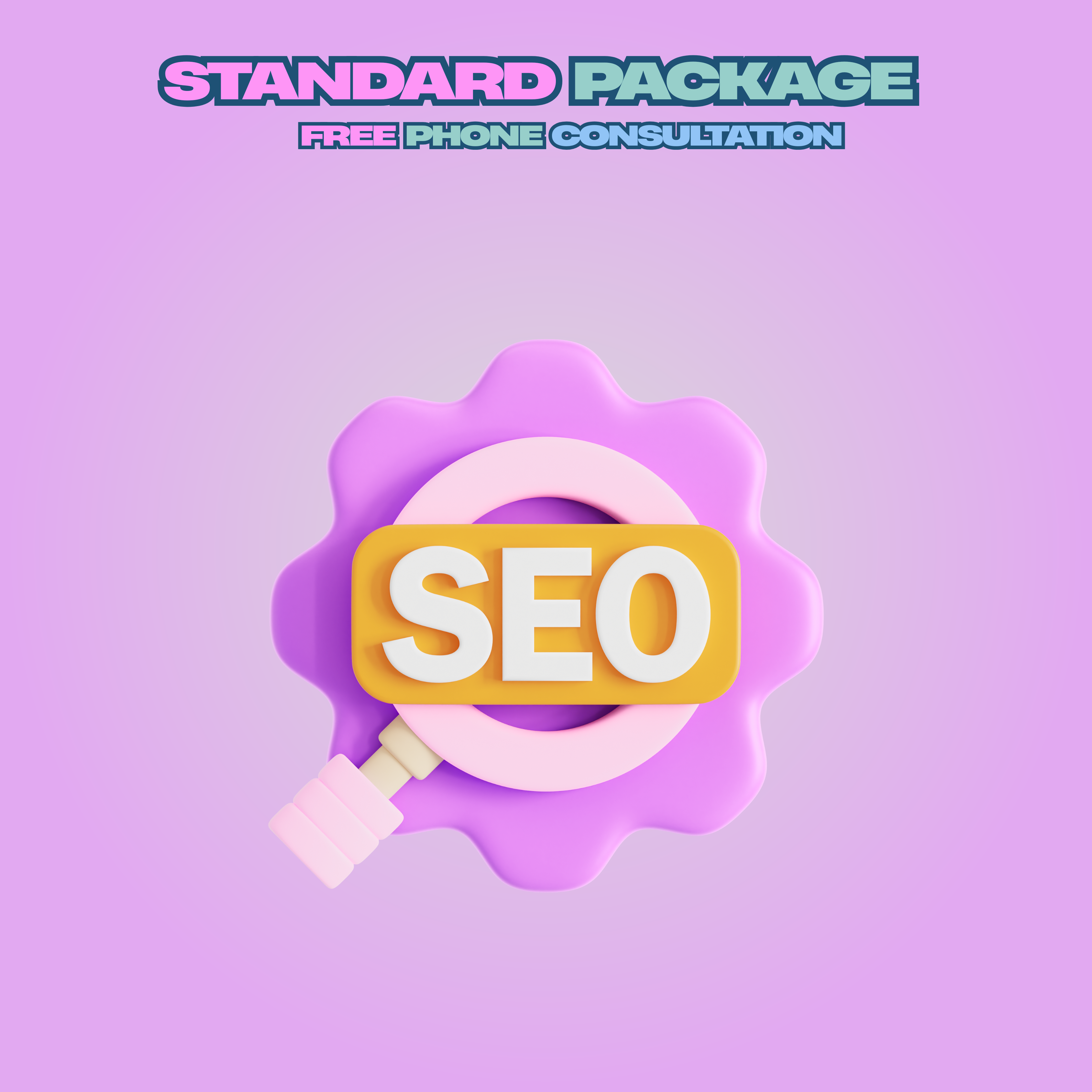 Standard SEO Package – Advanced Techniques of SEO and Performance with more
